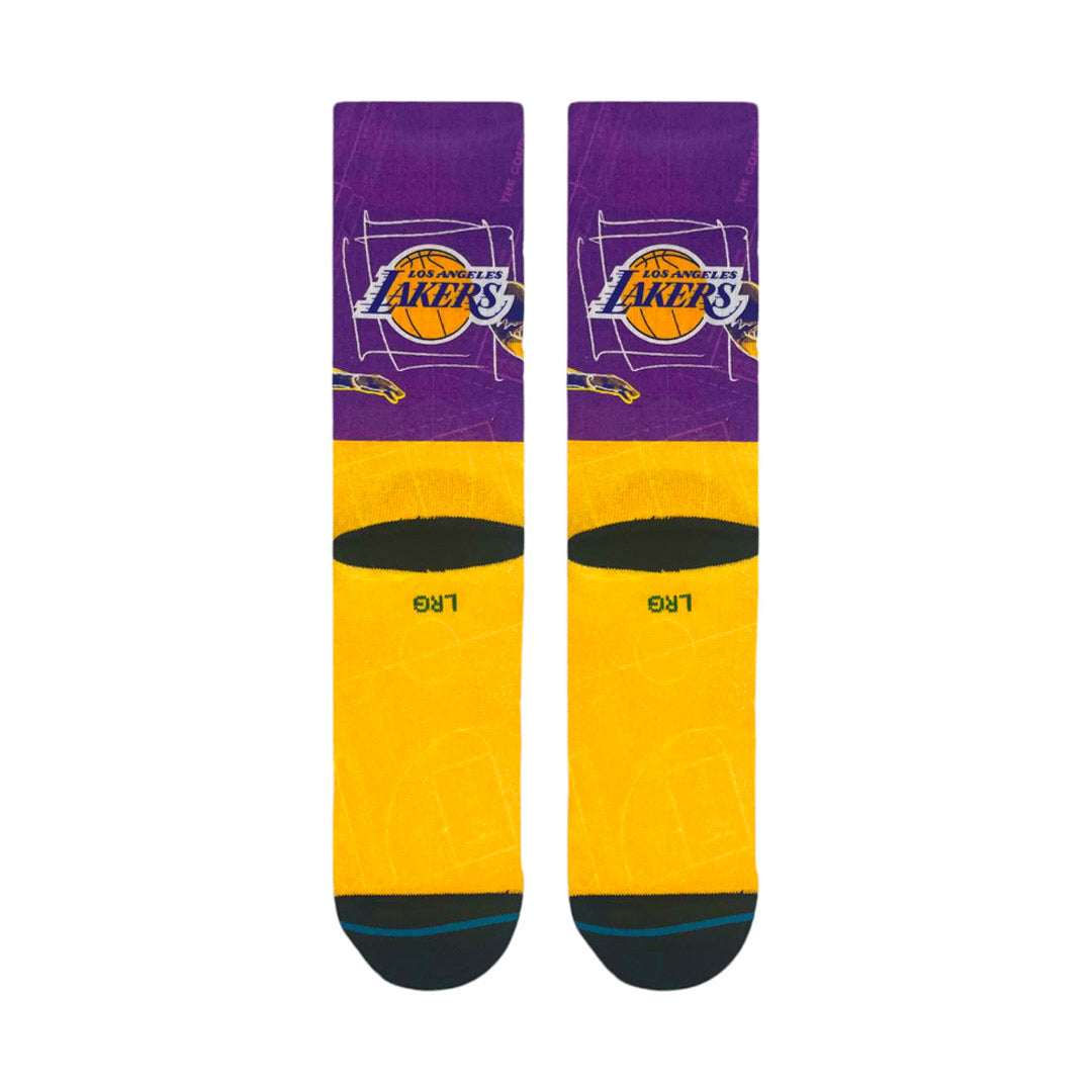 STANCE Pasted Lebron