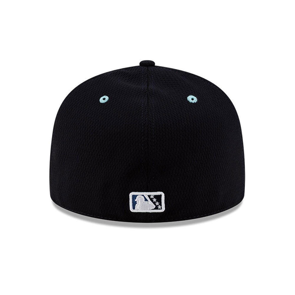 The Asheville Tourists New Era 59Fifty Batting Practice Cap