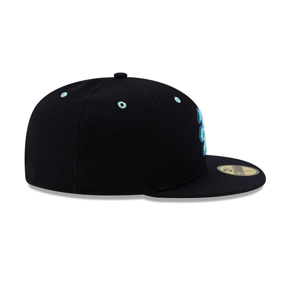 The Asheville Tourists New Era 59Fifty Batting Practice Cap