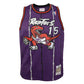 M&N NBA Swingman Jersey Toronto Raptors Road Child 1998-99 Vince Carter
